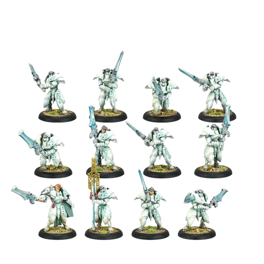 Dawnguard Sentinels (Custom Painted) (Assembled)