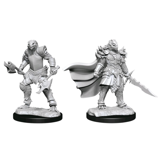 Dragonborn Fighter Female (New in Box)