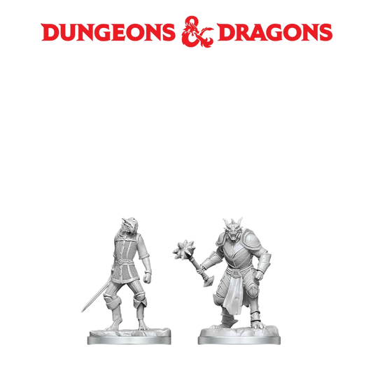 Dragonborn Paladin & Dragonborn Squire (Unpainted)