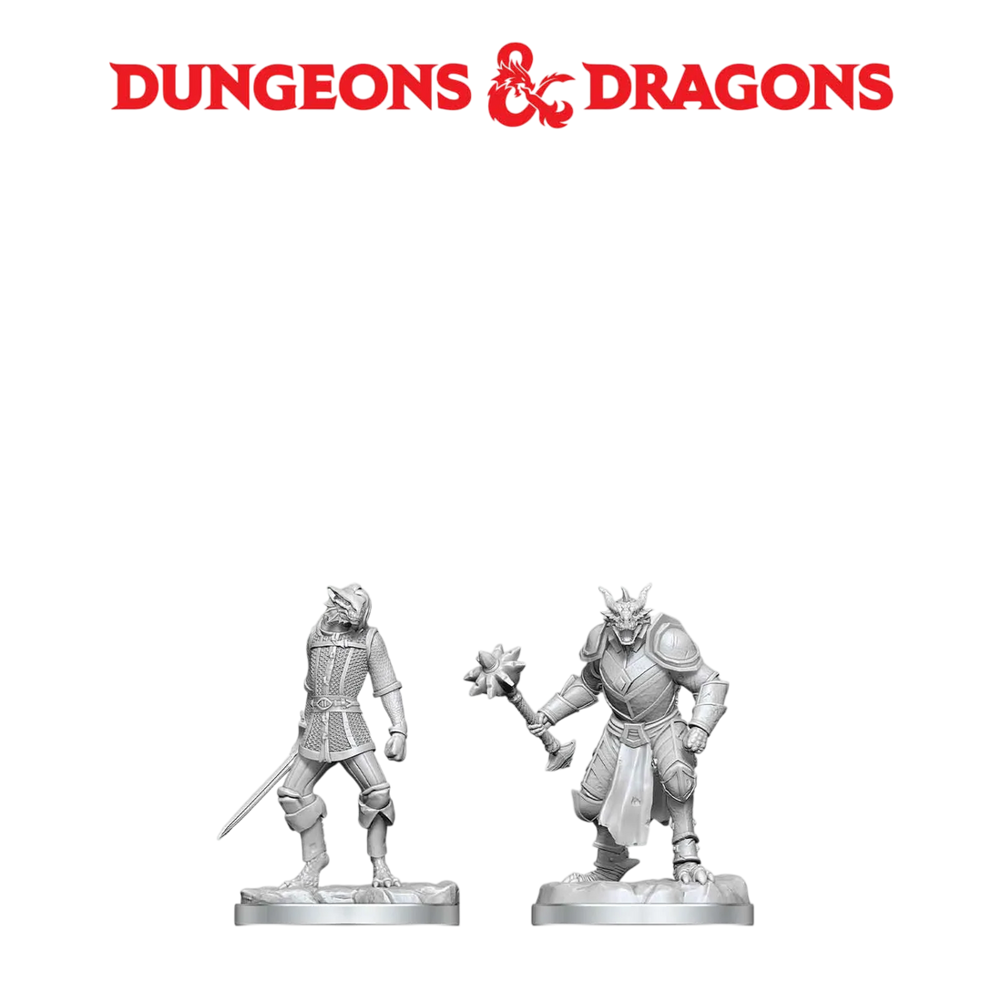 Dragonborn Paladin & Dragonborn Squire (New in Box)