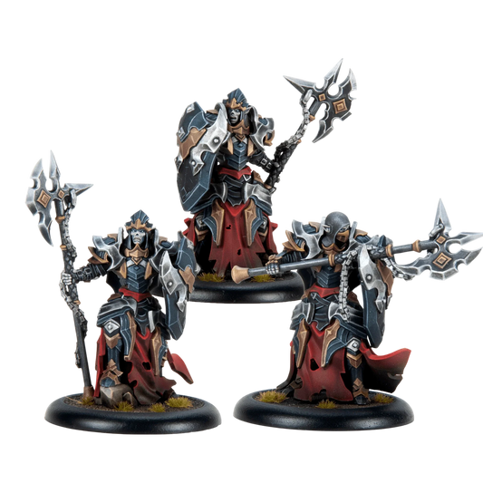 Dusk Fane of Nyrro Fane Knights (New in Box)