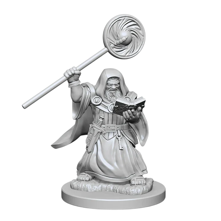 Dwarf Male Wizard (New in Box)