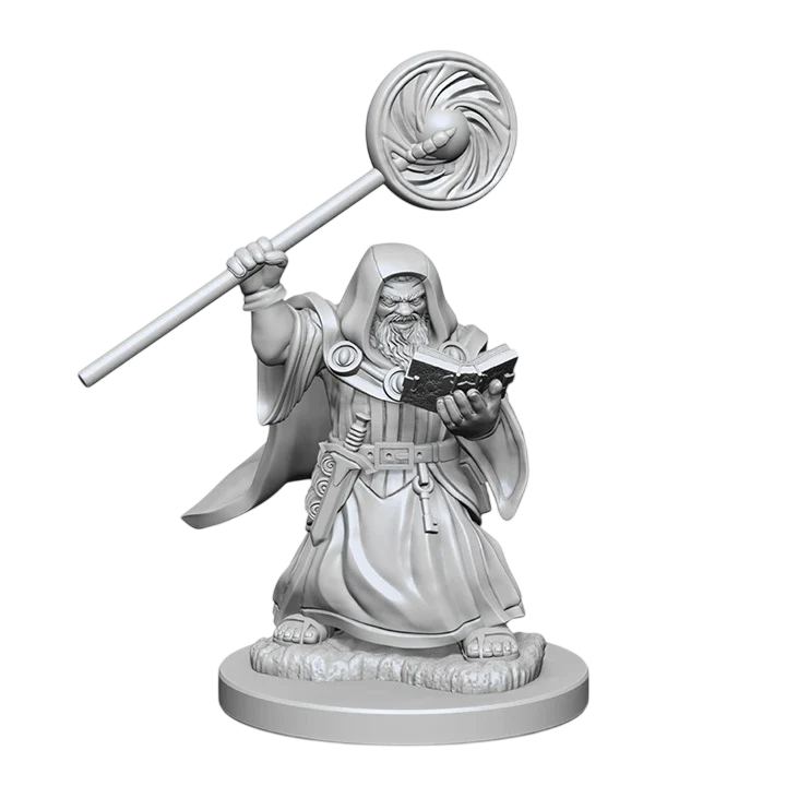 Dwarf Male Wizard (New in Box)