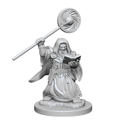 Dwarf Male Wizard (New in Box)