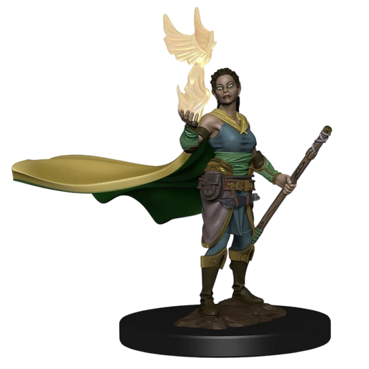 Elf Female Druid 2 (Custom Painted)