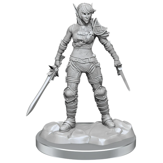Elf Rogue & Half-Elf Rogue Protégé (New in Box)