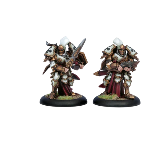 Exemplar Errants grunts (classic) (Custom Painted) (Assembled)