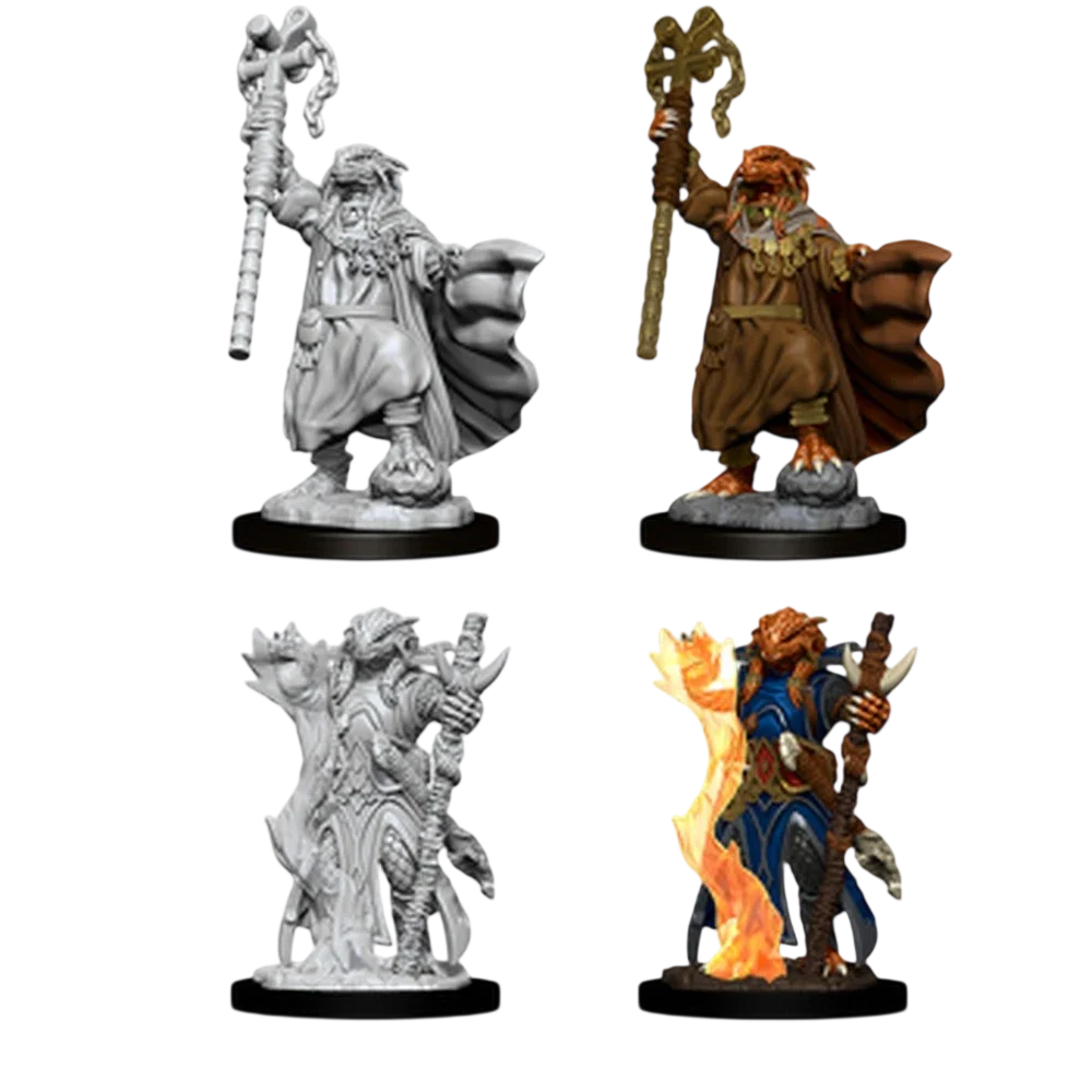 Female Dragonborn Sorcerer (Custom Painted)