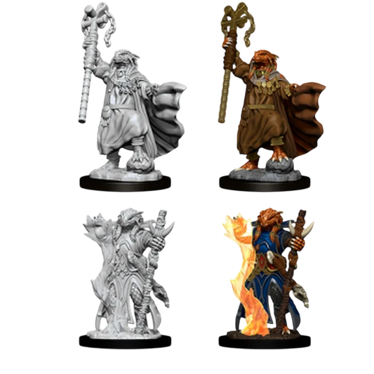 Female Dragonborn Sorcerer (Custom Painted)