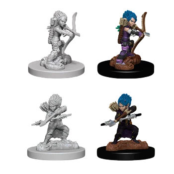Female Gnome Rogue (Prepainted)