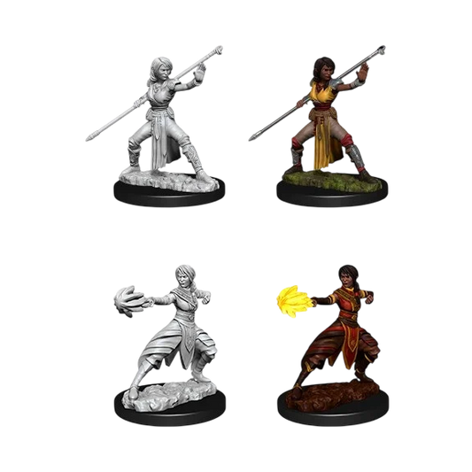 Female Half-Elf Monk (Unpainted)