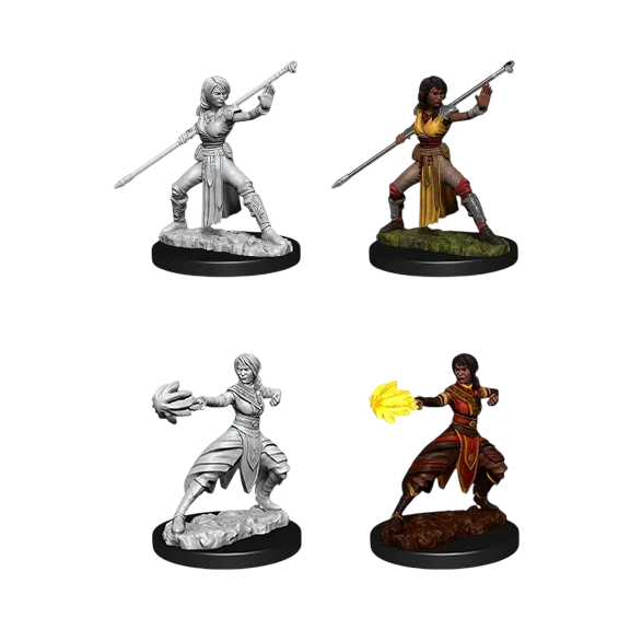 Female Half-Elf Monk (Custom Painted)