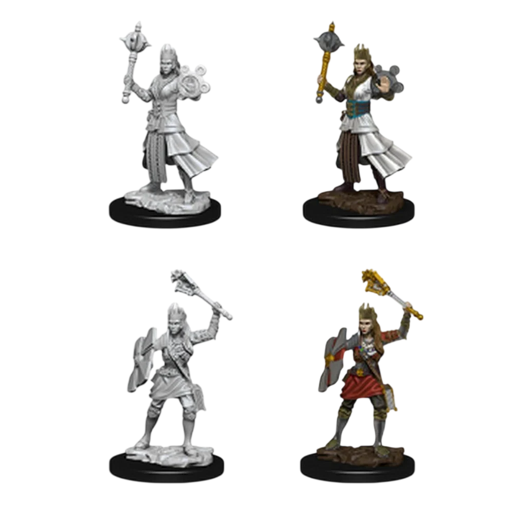 Female Human Cleric (Unpainted)