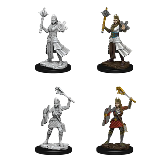 Female Human Cleric (Custom Painted)