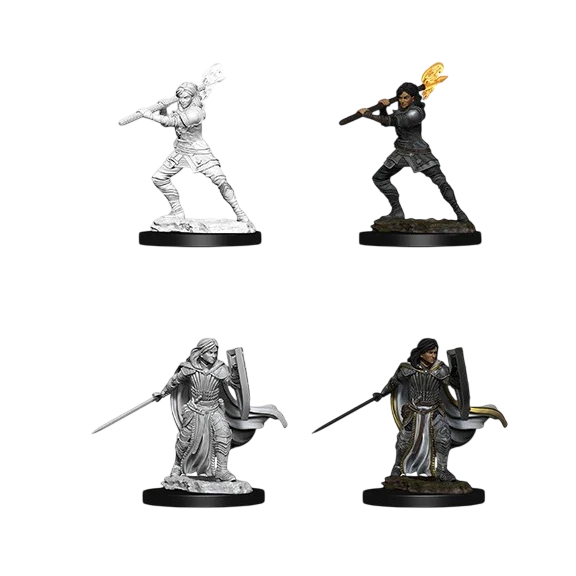Female Human Paladin (New in Box)