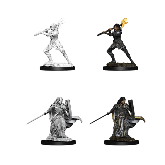 Female Human Paladin (New in Box)