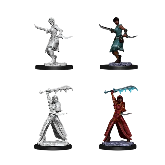 Female Human Rogue (Unpainted)