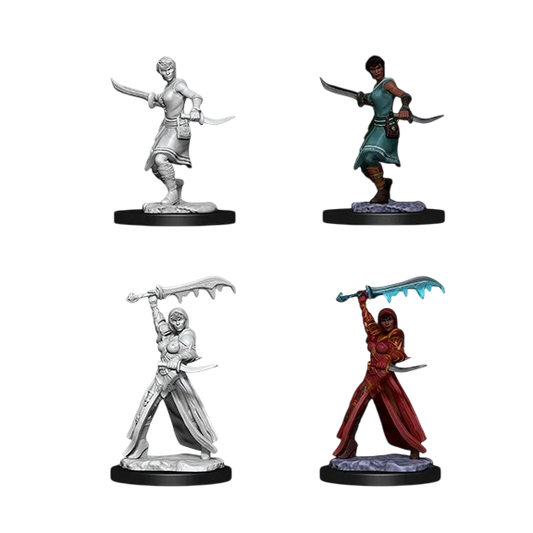 Female Human Rogue (New in Box)