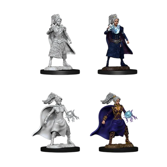 Female Human Sorcerer (Custom Painted)