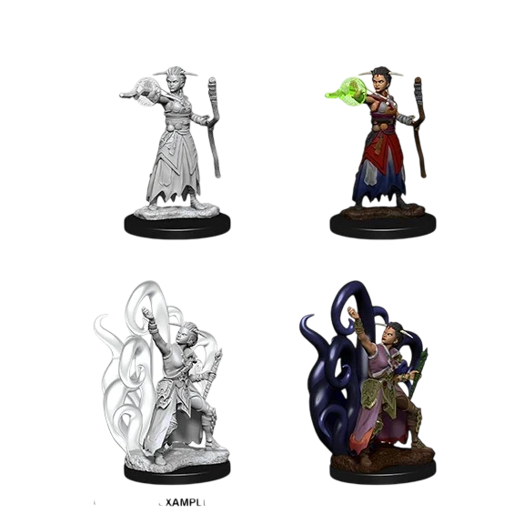 Female Human Warlock (New in Box)