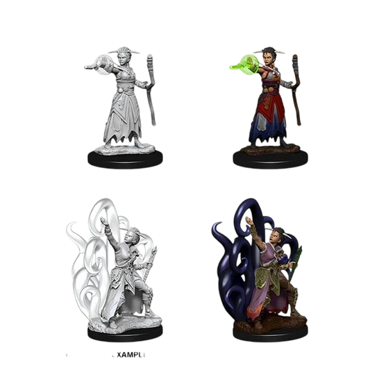 Female Human Warlock (Custom Painted)