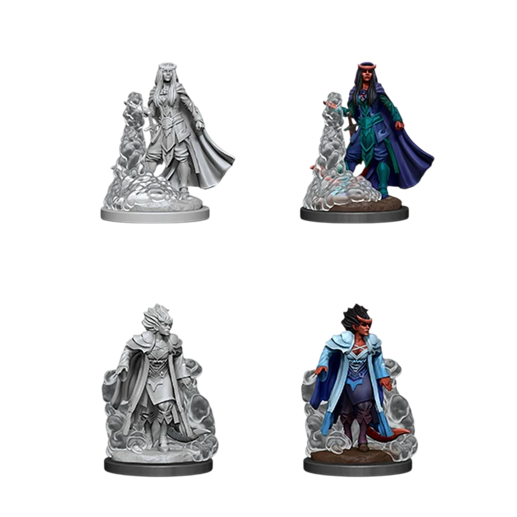 Female Tiefling Sorcerer (New in Box)