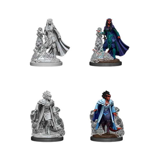 Female Tiefling Sorcerer (Unpainted)