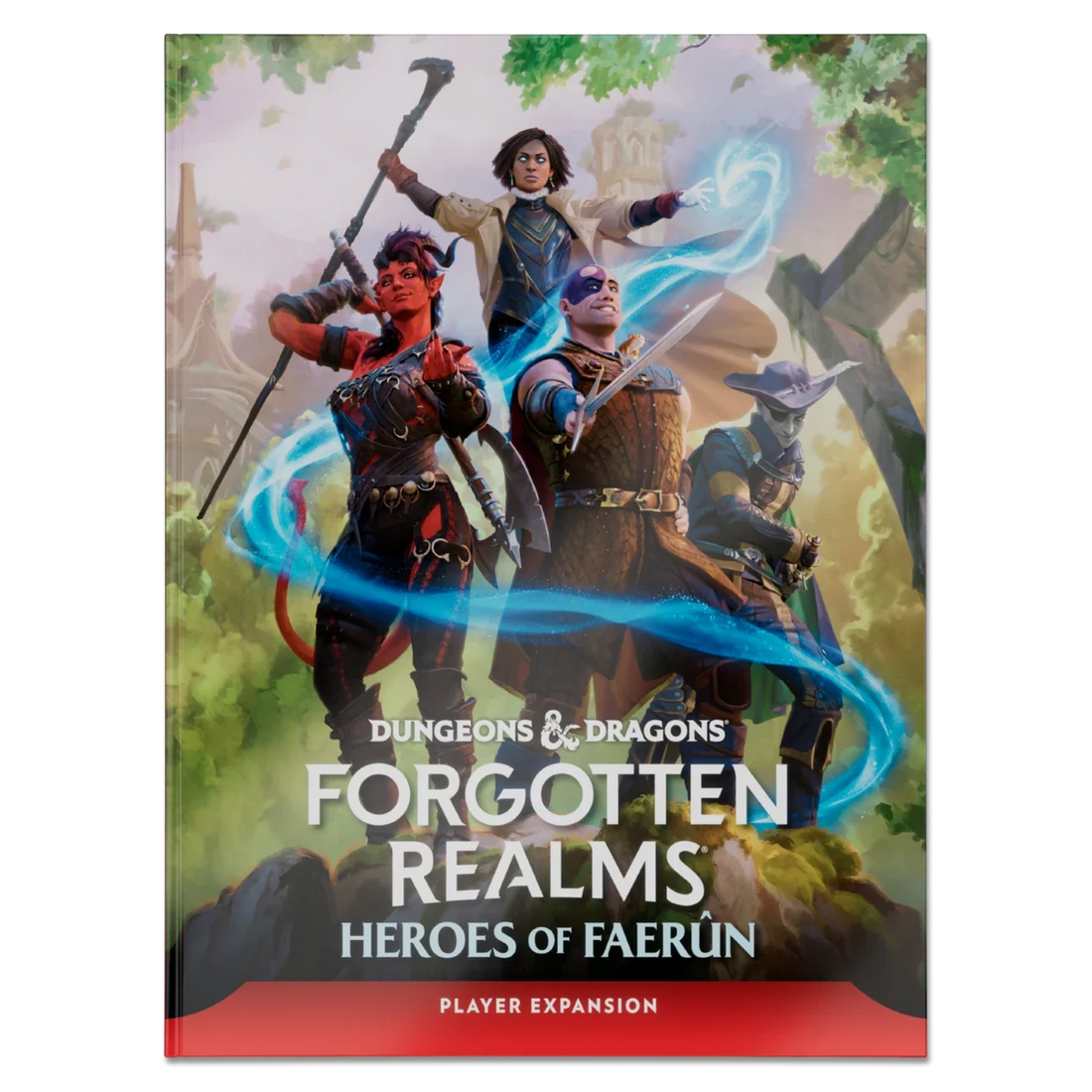 Forgotten Realms: Heroes of Faerûn (2025)