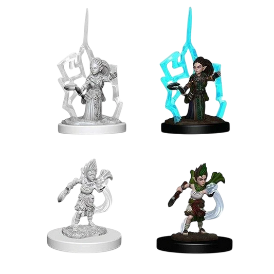 Gnome Female Druid (Prepainted)