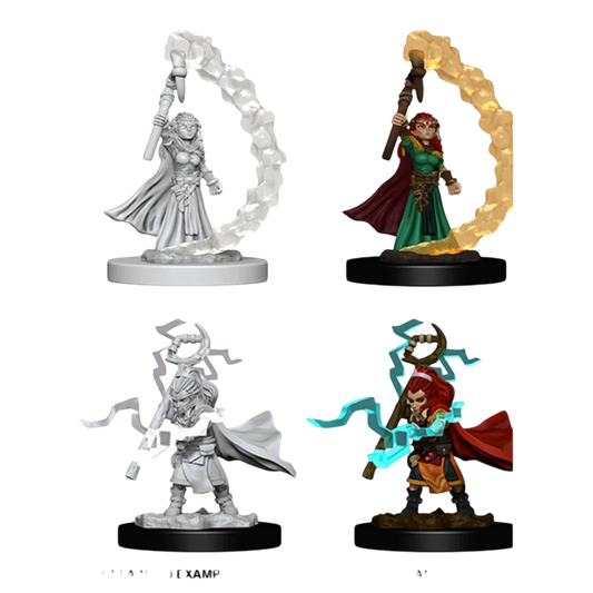 Gnome Female Sorcerer (Prepainted) (New in Box)