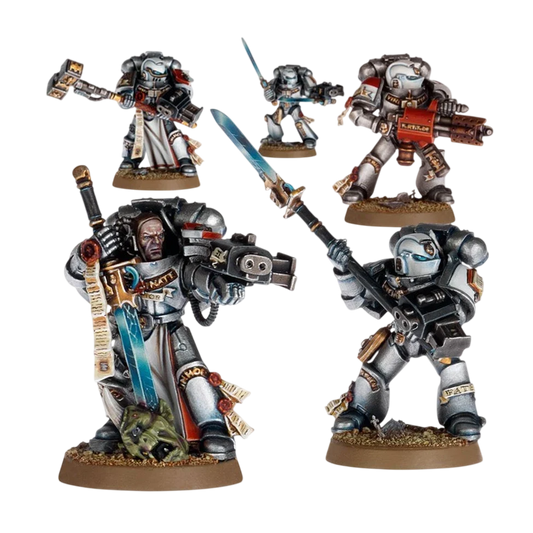 Grey Knights Purifiers (Custom Painted) (Assembled)