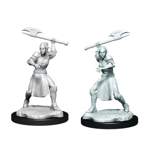 Half-Elf Echo Knight and Echo Female (New in Box)
