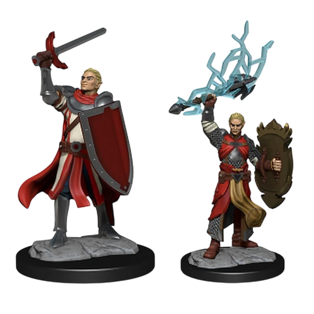 Half-Elf Paladin Male (Custom Painted)