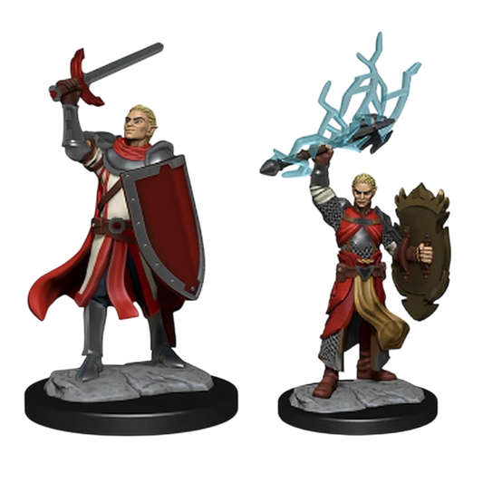 Half-Elf Paladin Male (Custom Painted)