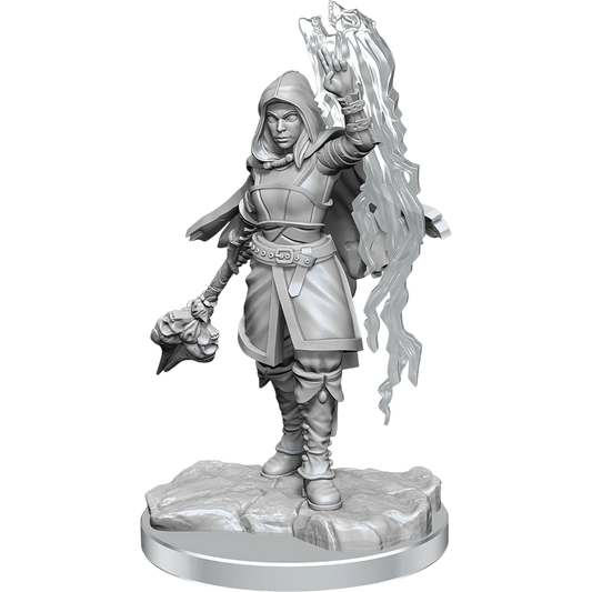 Half-Elf Warlock (New in Box)