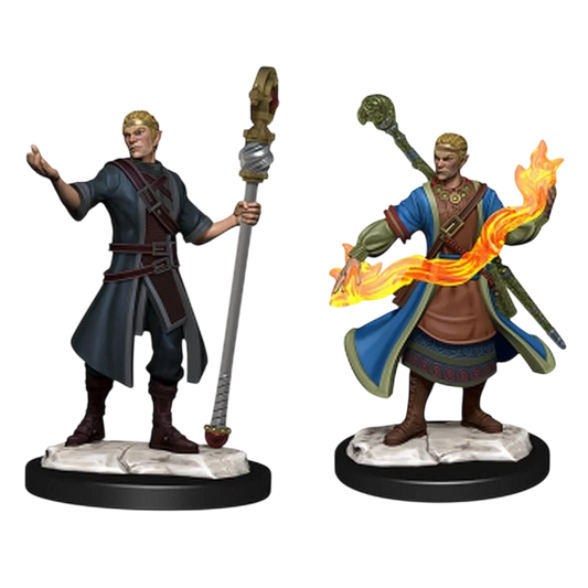 Half-Elf Wizard Male (New in Box)