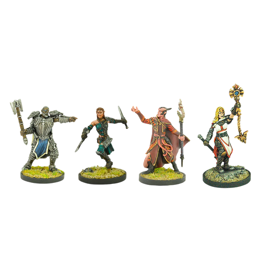 Heroes Of Neverwinter (Unpainted)