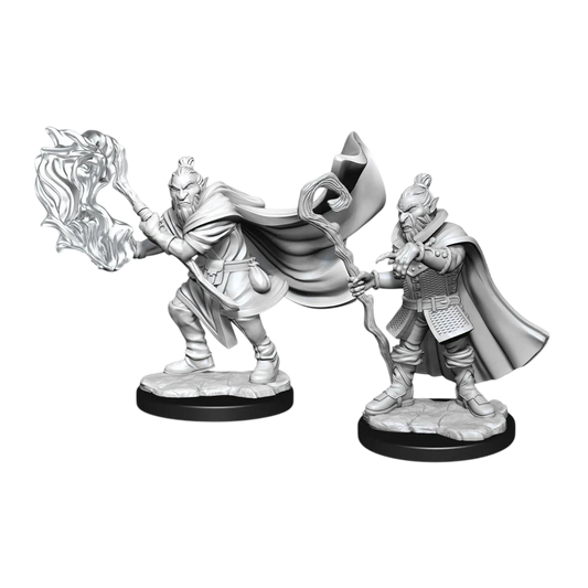 Hobgoblin Wizard and Druid Male (New in Box)