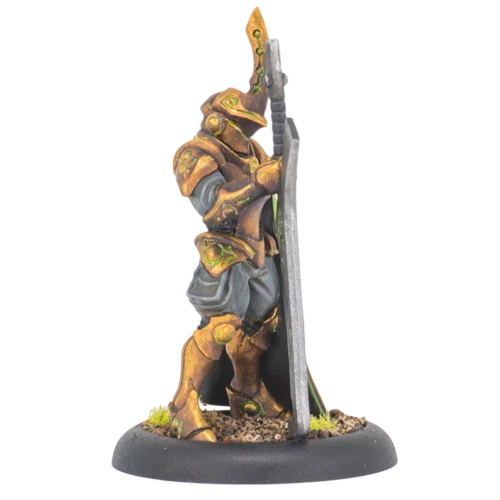 House Ellowuyr Swordsmen with Officer and Standard (Custom Painted) (Assembled)