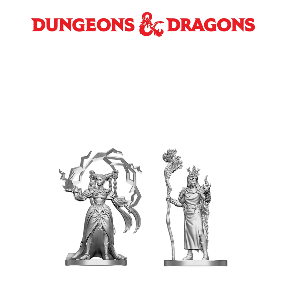 Human Druid & Elf Sorcerer (Custom Painted)