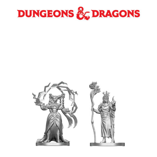 Human Druid & Elf Sorcerer (Custom Painted)