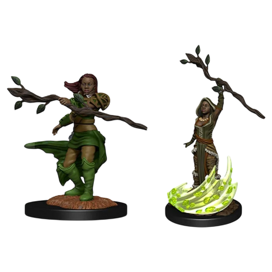 Human Druid Female (Unpainted)