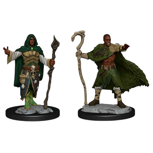 Human Druid Male (Custom Painted)