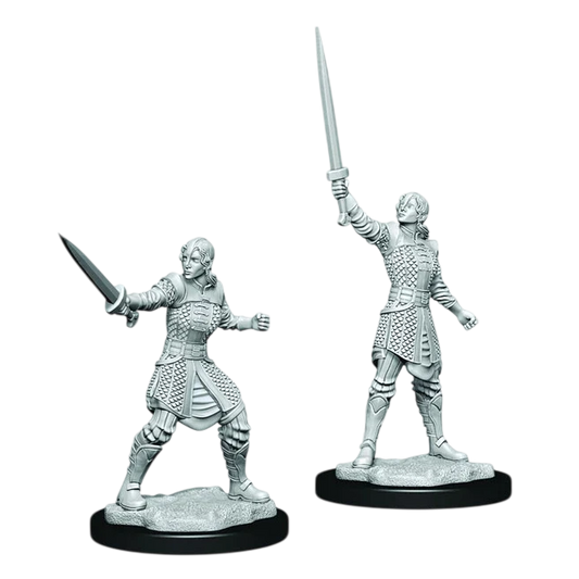 Human Dwendalian Empire Fighter Female (Custom Painted)