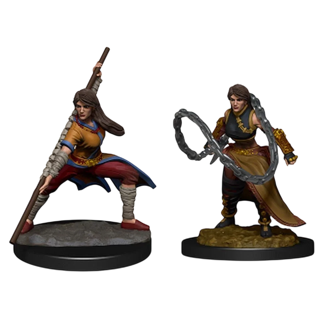 Human Monk Female (Unpainted)