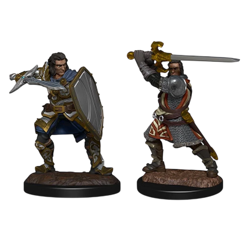 Human Paladin Male (Custom Painted)