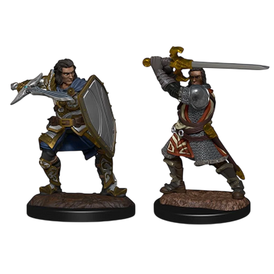 Human Paladin Male (New in Box) (2022)
