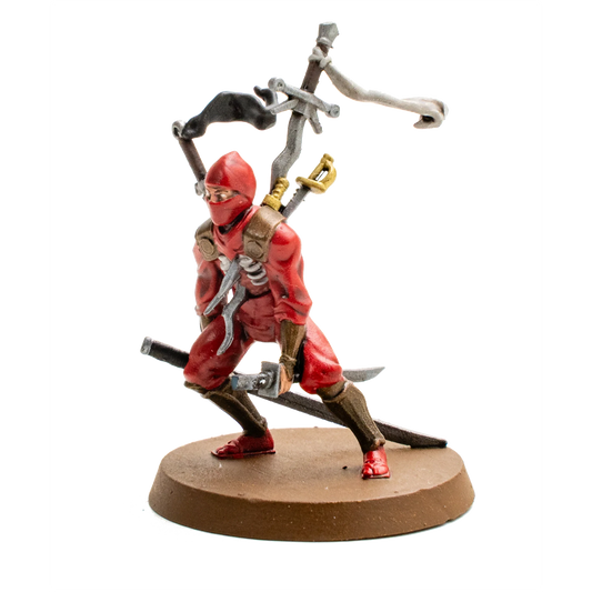 Isamu (Secrets of the Citadel Promo) (Prepainted) (New in Box)