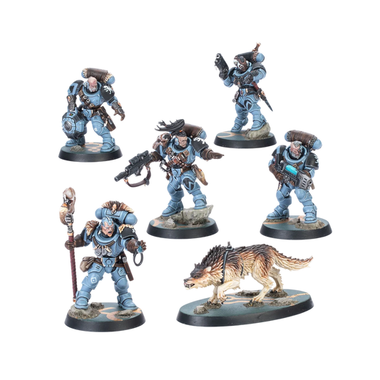 Kill Team: Wolf Scouts (Custom Painted) (Assembled)