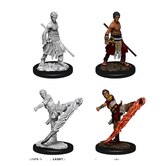 Male Half-Elf Monk (Custom Painted)